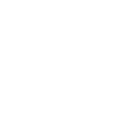 THE 911 WAY